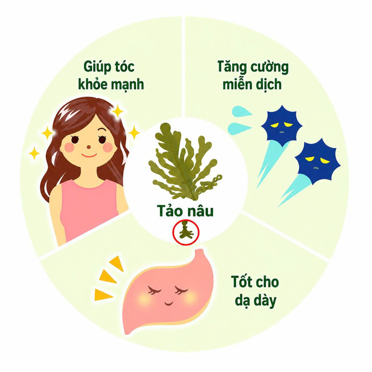 Oreview-top-4-fucoidan-nhat-ban-4.jpg